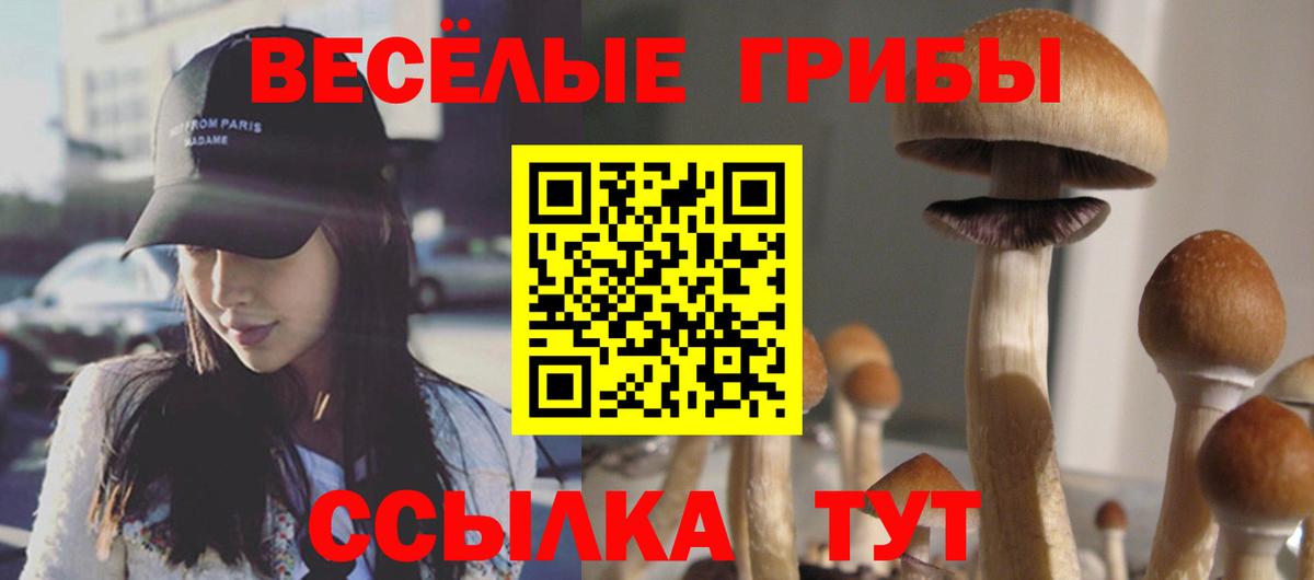 Псилоцибиновые грибы мухоморы Минусинск